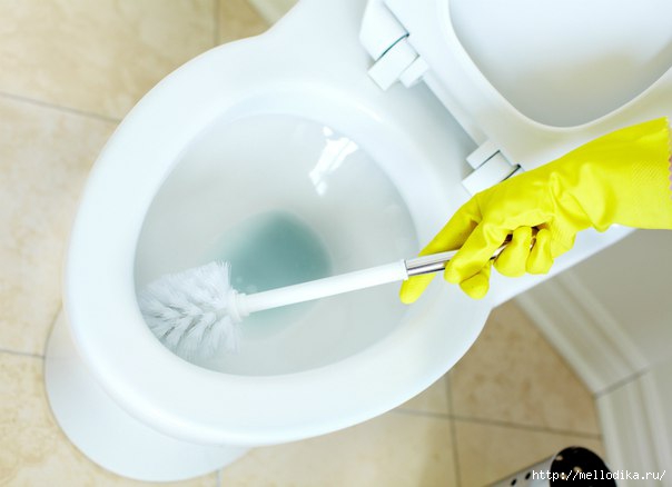 4 простых способа поддержания туалета в чистоте