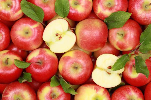 7 причин по которым нужно есть яблоки.