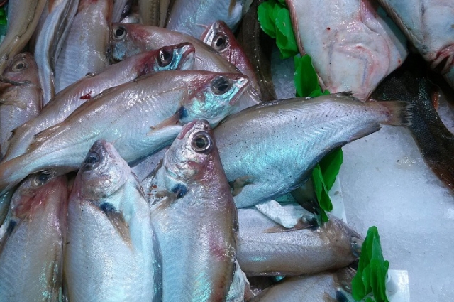 5 вкуснейших и простых блюд их недорогих видов рыбы