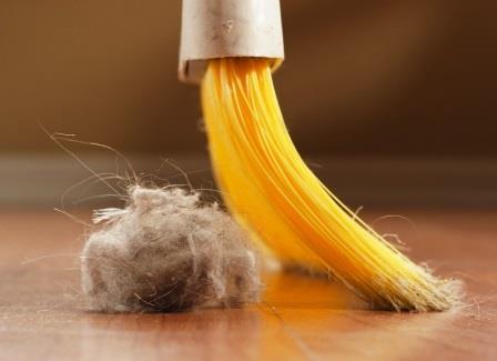 Эти эффективные советы помогут полностью избавиться от пыли в доме! С ними ваш дом будет намного чище и свежее!