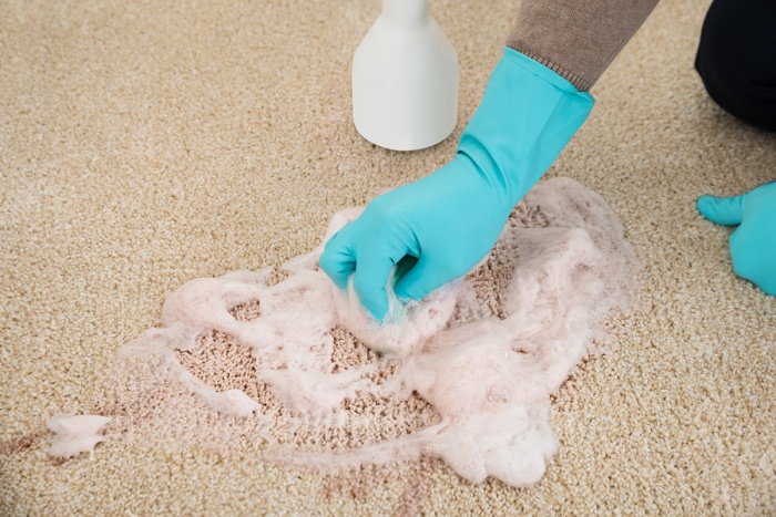 Мытье ковра с мылом может привести к обратному результату. /Фото: citrus4carpets.com