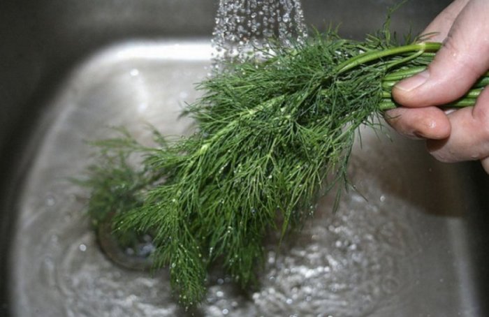 Главное, хорошо помыть и правильно обрезать. |Фото: glav-dacha.ru.