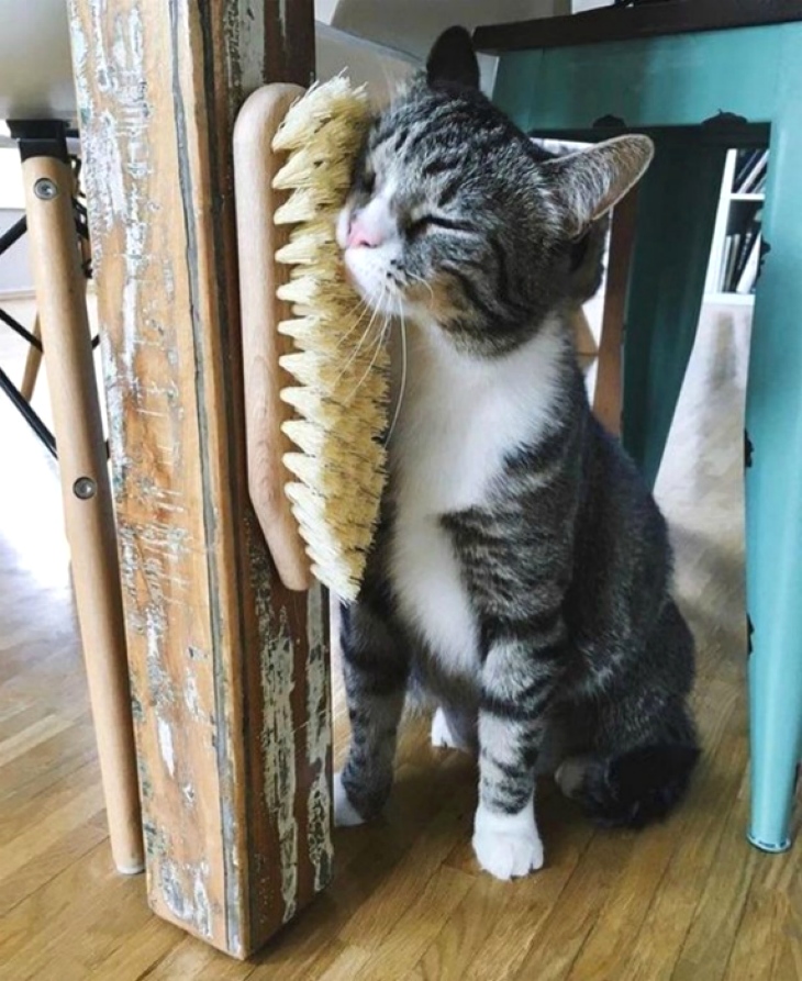 Щетка-чесалка для кошки